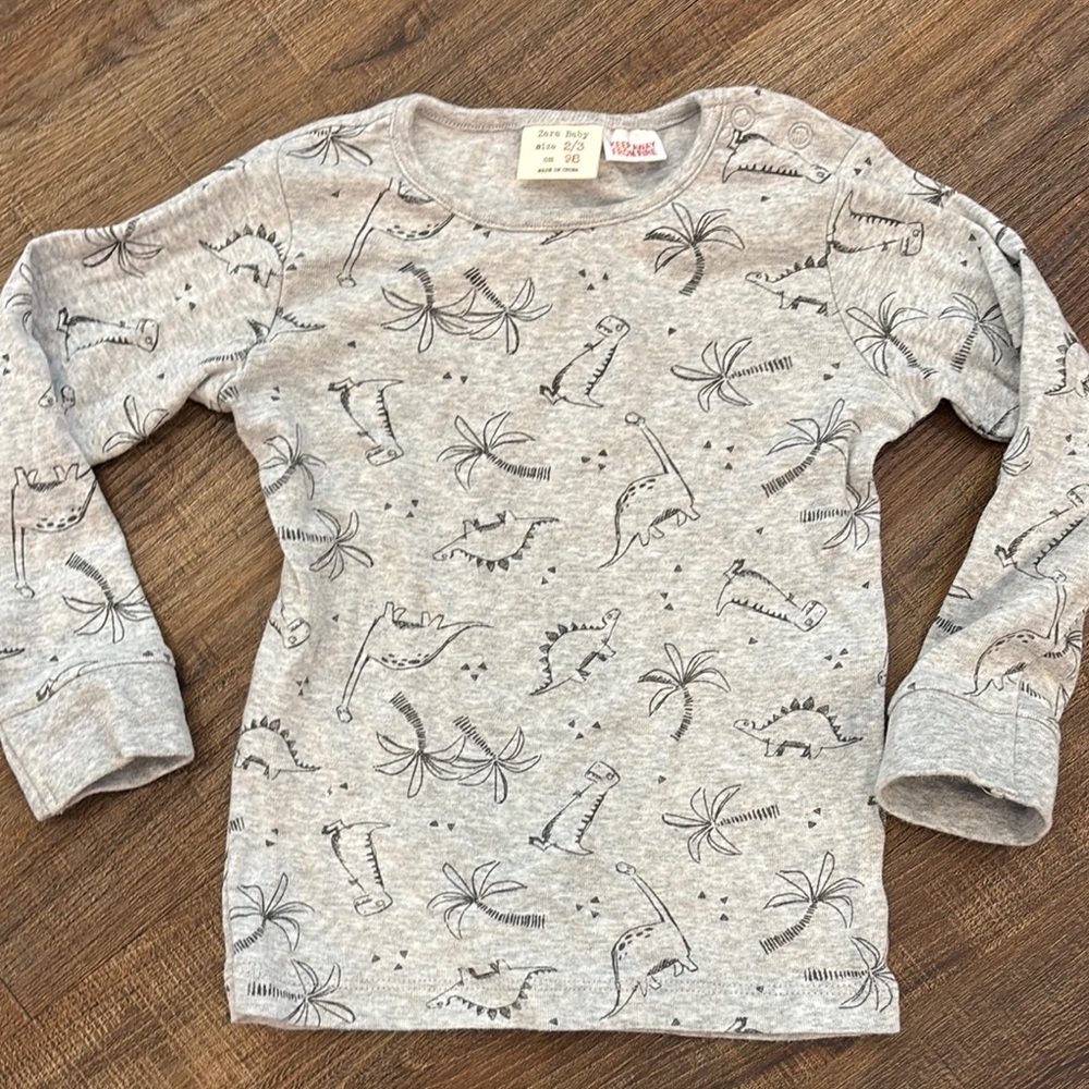 Zara 2-3T Gray Long Sleeve Tee with Dinosaur Print